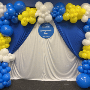 photo backdrop with blue, white and yellow balloon garland